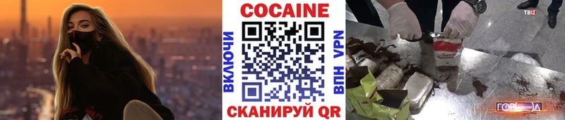как найти наркотики  Сураж  COCAIN VHQ 