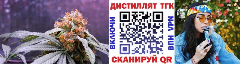 ТГК Wax Сураж