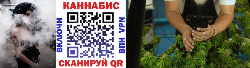 Конопля AK-47  Сураж 